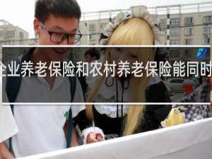 企业养老保险和农村养老保险能同时享受吗