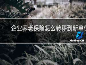 企业养老保险怎么转移到新单位