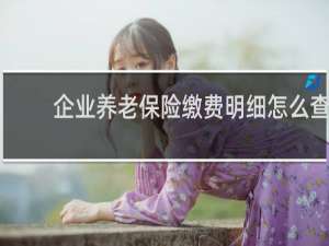 企业养老保险缴费明细怎么查
