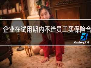 企业在试用期内不给员工买保险合法吗