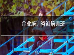 企业培训咨询培训班