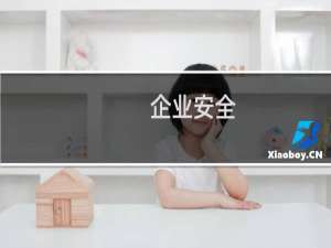 企业安全
