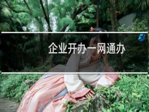 企业开办一网通办