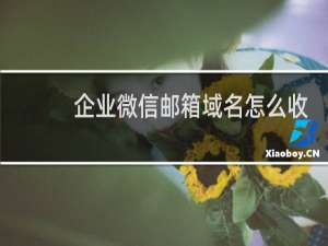 企业微信邮箱域名怎么收费