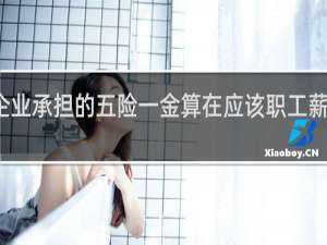 企业承担的五险一金算在应该职工薪酬里吗