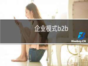企业模式b2b