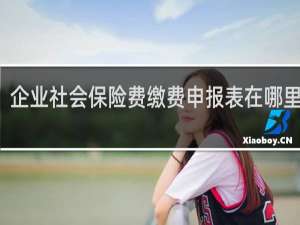 企业社会保险费缴费申报表在哪里打印