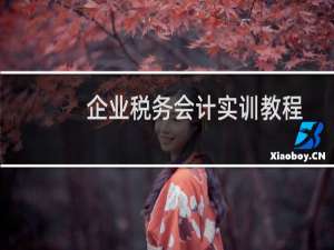 企业税务会计实训教程