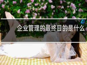 企业管理的最终目的是什么