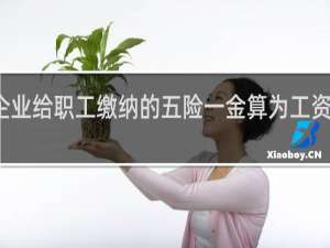 企业给职工缴纳的五险一金算为工资总额吗