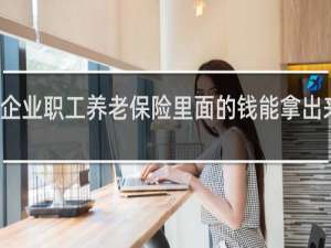 企业职工养老保险里面的钱能拿出来啦吗