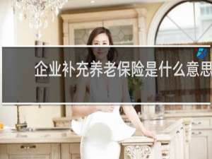 企业补充养老保险是什么意思