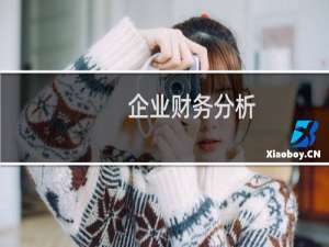 企业财务分析