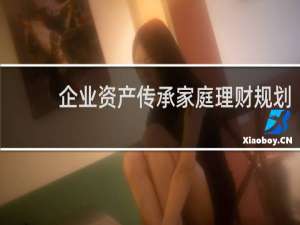 企业资产传承家庭理财规划
