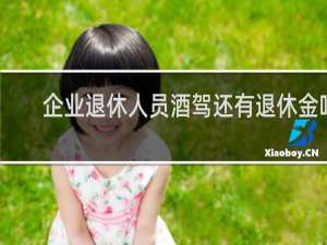 企业退休人员酒驾还有退休金吗