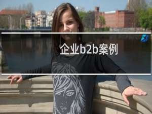 企业b2b案例