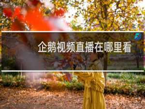 企鹅视频直播在哪里看