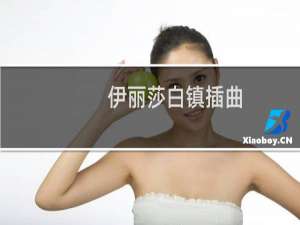伊丽莎白镇插曲