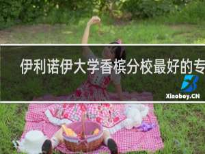 伊利诺伊大学香槟分校最好的专业