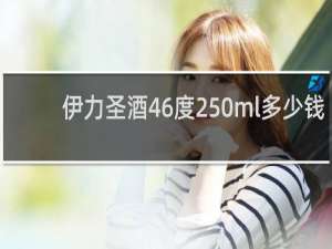伊力圣酒46度250ml多少钱
