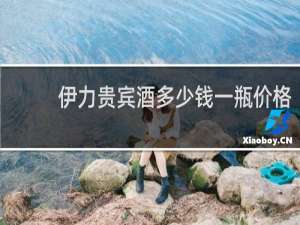伊力贵宾酒多少钱一瓶价格