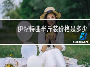 伊犁特曲半斤装价格是多少