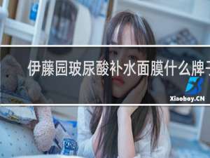 伊藤园玻尿酸补水面膜什么牌子