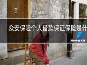众安保险个人借款保证保险是什么