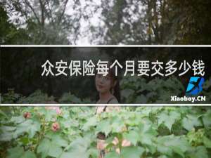 众安保险每个月要交多少钱