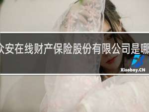 众安在线财产保险股份有限公司是哪个网贷