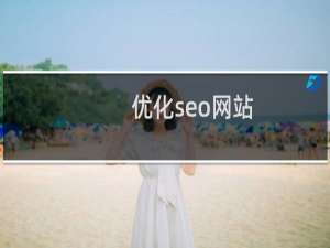 优化seo网站