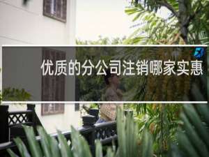 优质的分公司注销哪家实惠