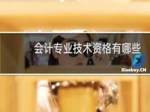 会计专业技术资格有哪些