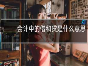 会计中的借和贷是什么意思