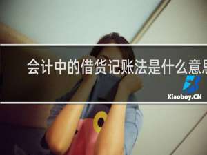 会计中的借货记账法是什么意思
