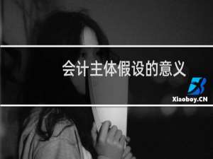 会计主体假设的意义
