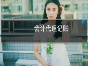 会计代理记账（代理做帐）