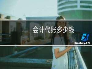 会计代账多少钱