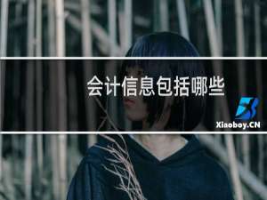 会计信息包括哪些
