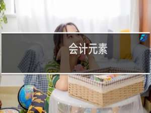 会计元素