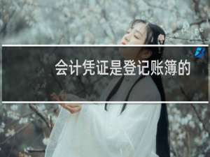 会计凭证是登记账簿的