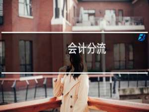 会计分流