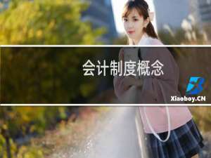 会计制度概念