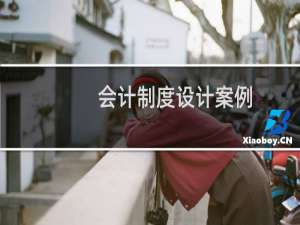 会计制度设计案例
