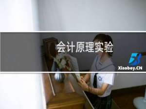 会计原理实验