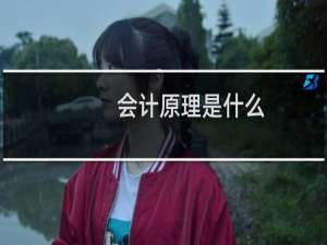 会计原理是什么