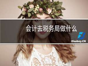 会计去税务局做什么