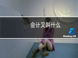 会计又叫什么