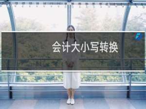 会计大小写转换
