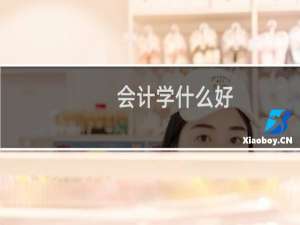 会计学什么好